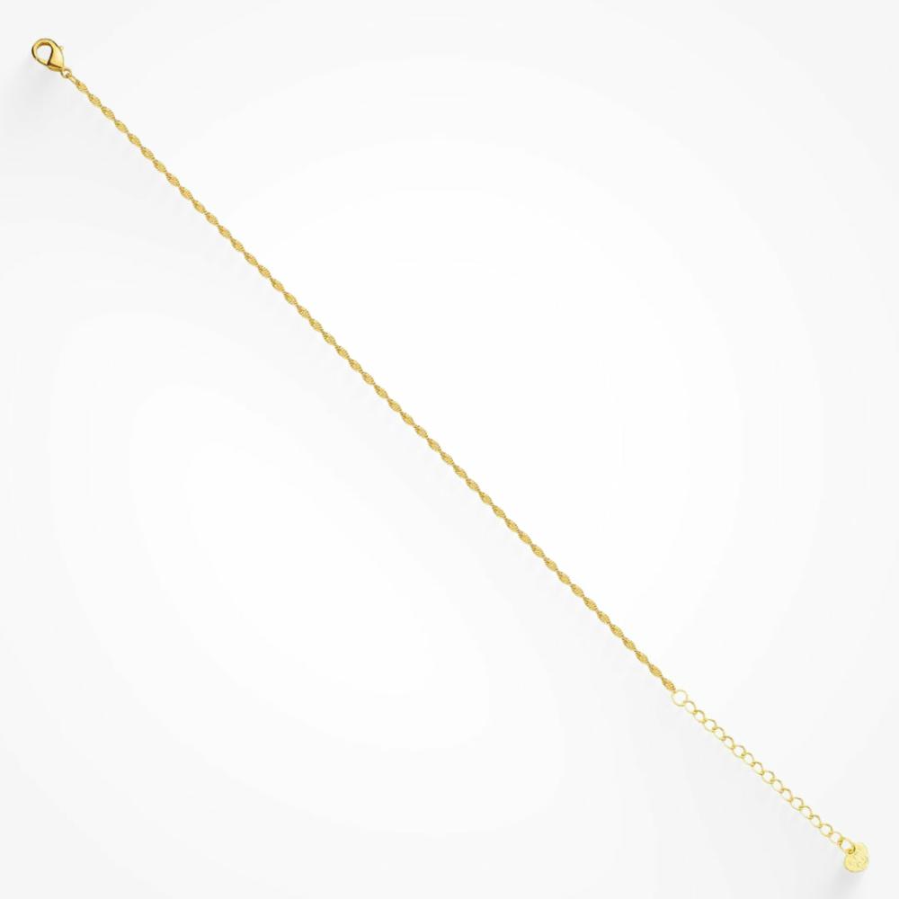 Don’T Get It Twisted Anklet Anklets Gold