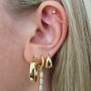 Lyra Earrings Earrings Gold