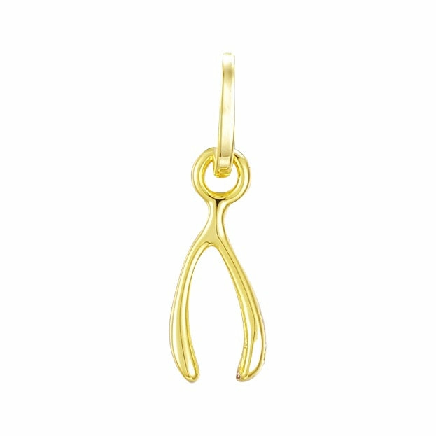 Wishbone Charm Jewelry